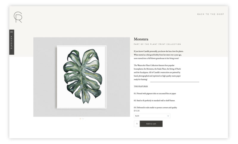 Single product page design with image on the left and description on the right