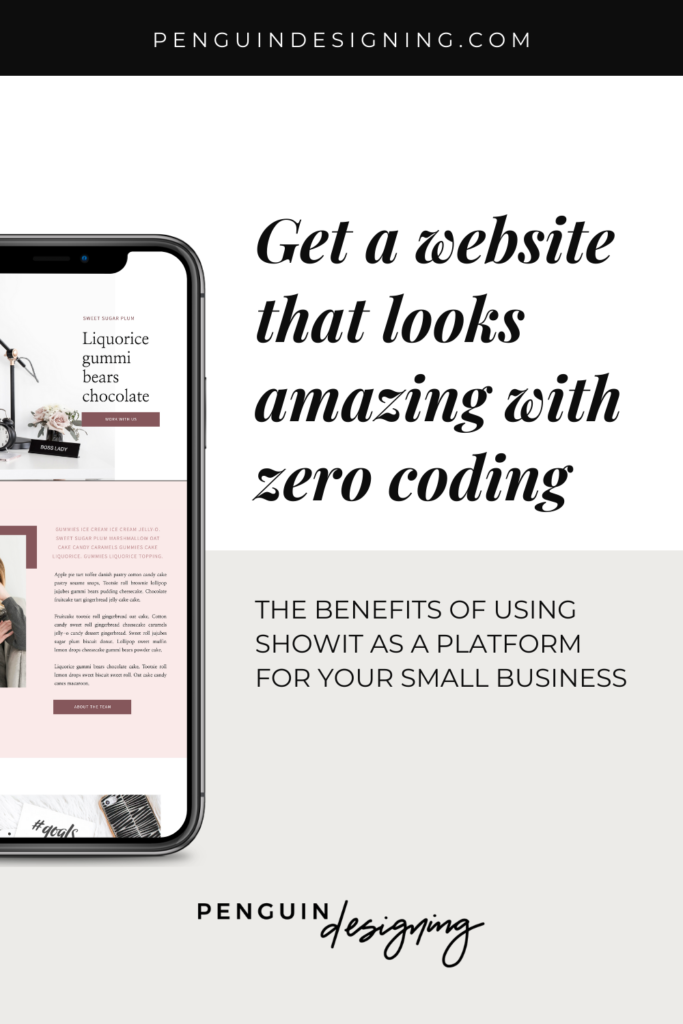 Get a website that looks amazing with zero coding - the benefits of using Showit for your small business