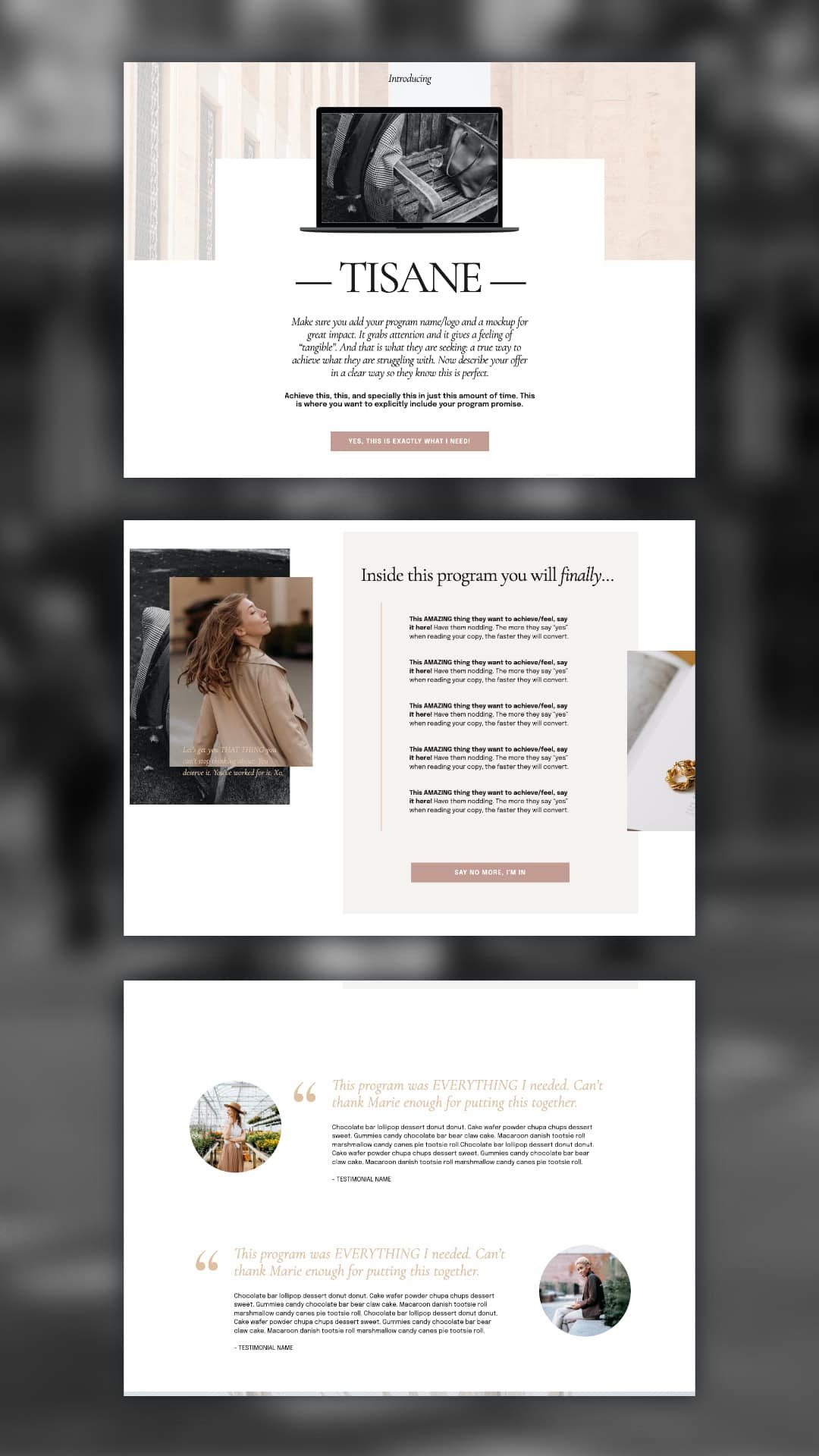 The Tisane Showit Sales Page is a three-page layout featuring text descriptions, testimonial sections, and images of a smiling woman with decorative objects, designed for the TISANE program.