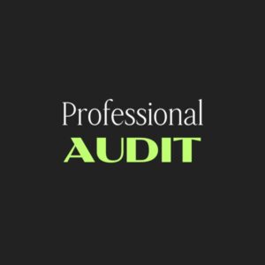Professional Audit