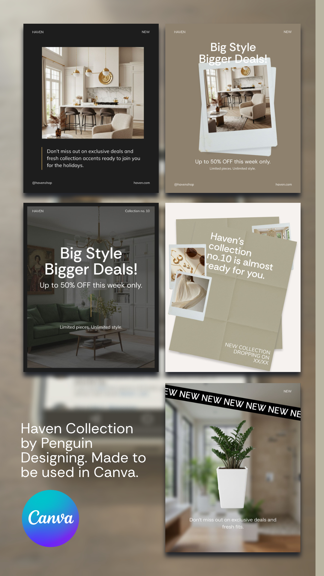 The Haven Canva Social Templates feature five modern layouts for furniture and decor promotions by Penguin Designing, with neutral color palettes and the Canva logo included.