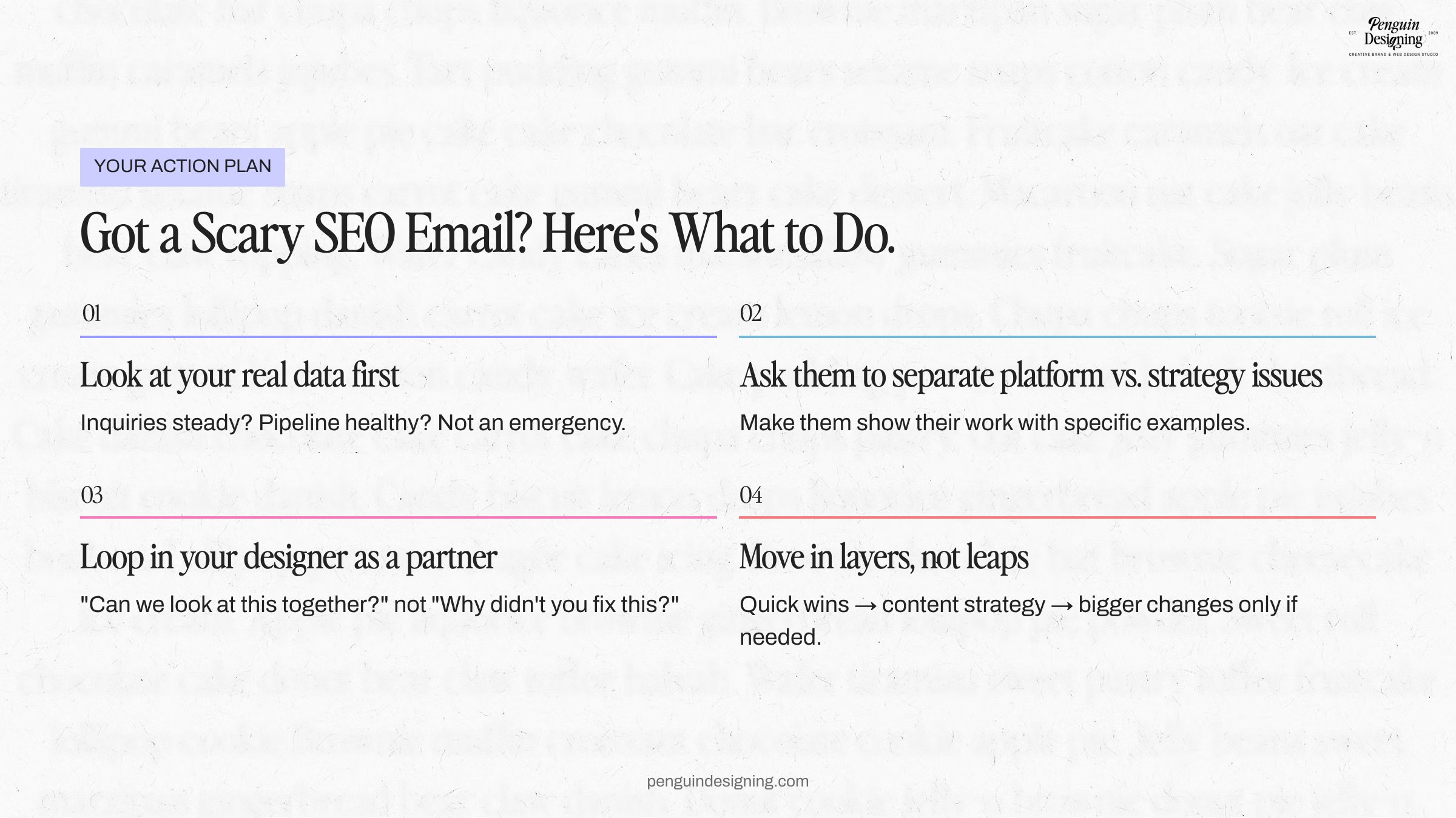 A slide titled "Got a Scary SEO Email? Here's What to Do" lists four action steps for responding to Showit SEO issues, each with a brief explanation.