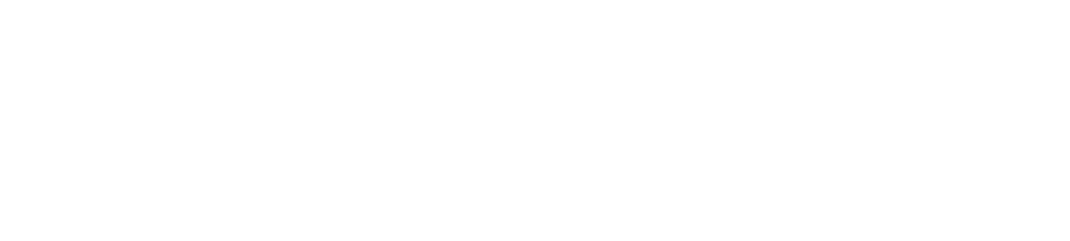 Penguin Designing, Creative Studio