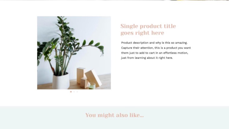 Light product page demo with a photo carousel and a description