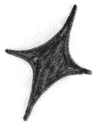 A four-pointed star shape with concave sides.